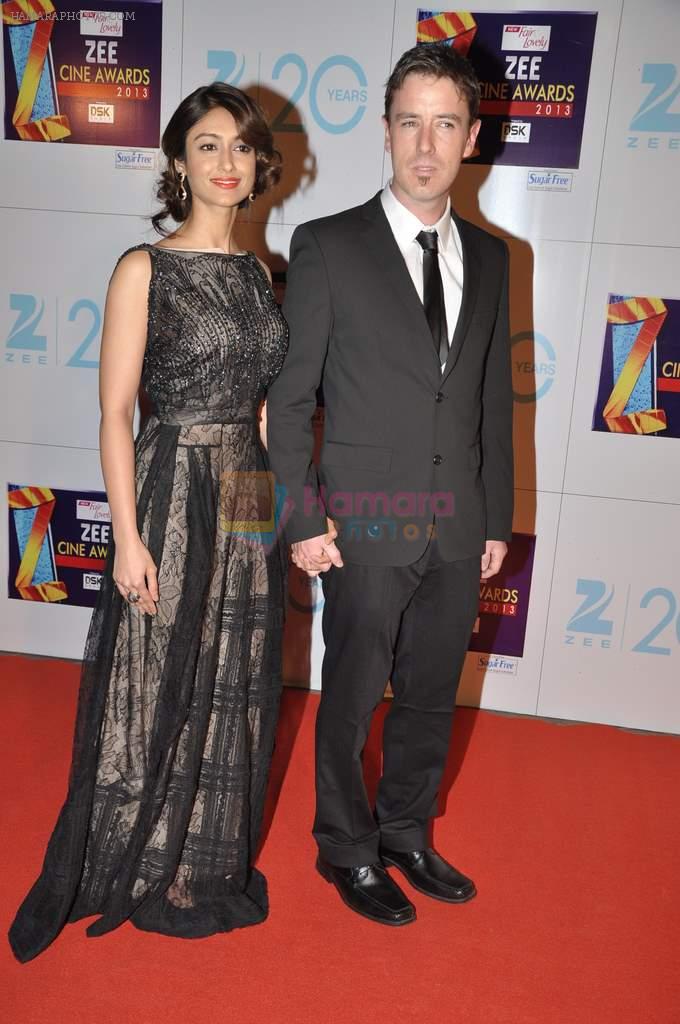 Ileana D'Cruz at Zee Awards red carpet in Mumbai on 6th Jan 2013