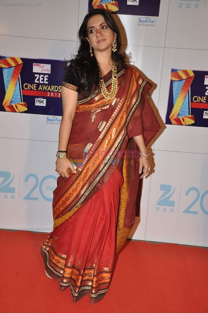 Shaina NC at Zee Awards red carpet in Mumbai on 6th Jan 2013