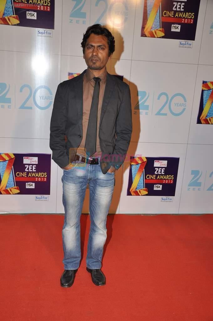 at Zee Awards red carpet in Mumbai on 6th Jan 2013