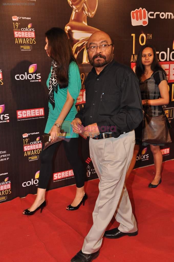 Shyam Benegal at Screen Awards red carpet in Mumbai on 12th Jan 2013