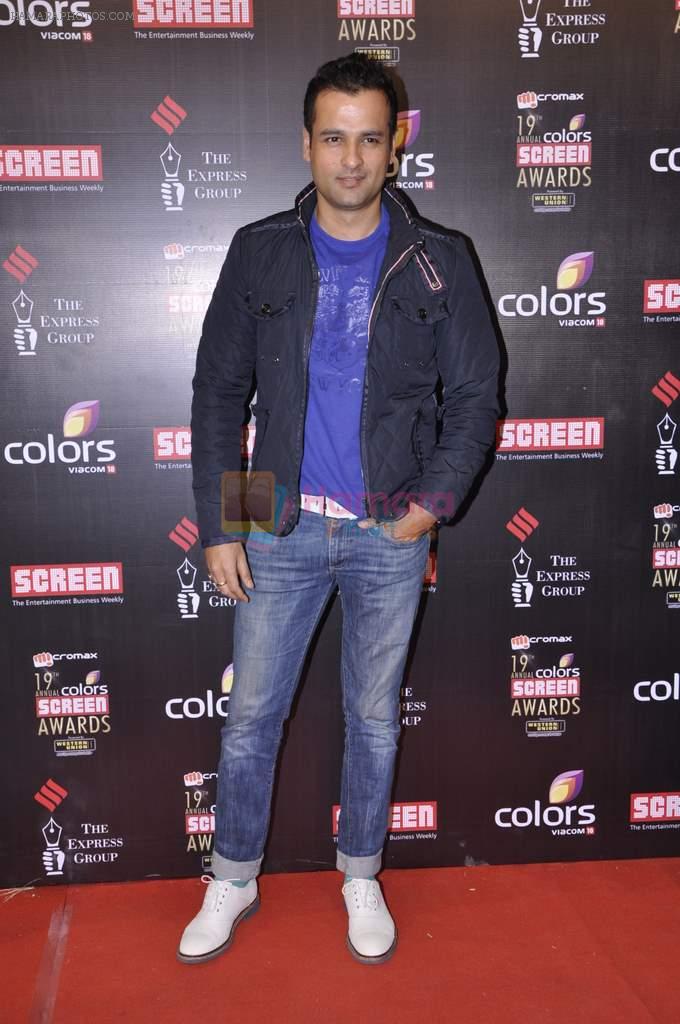 Rohit Roy at Screen Awards red carpet in Mumbai on 12th Jan 2013