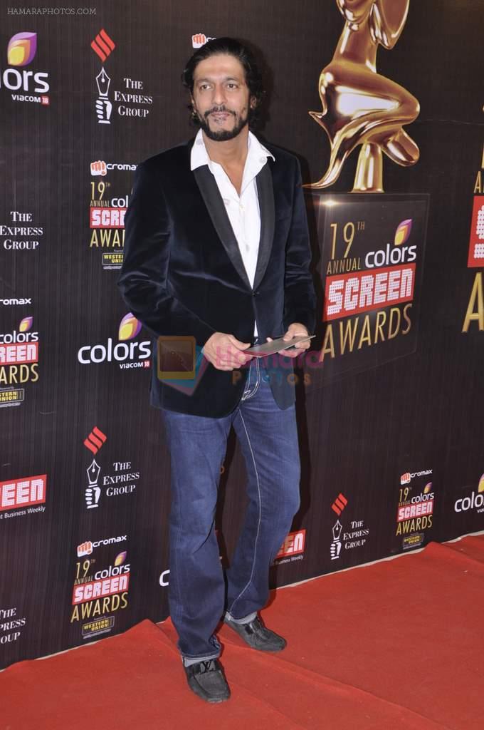 Chunky Pandey at Screen Awards red carpet in Mumbai on 12th Jan 2013