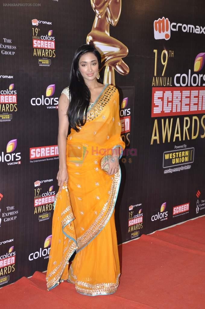Jiah Khan at Screen Awards red carpet in Mumbai on 12th Jan 2013