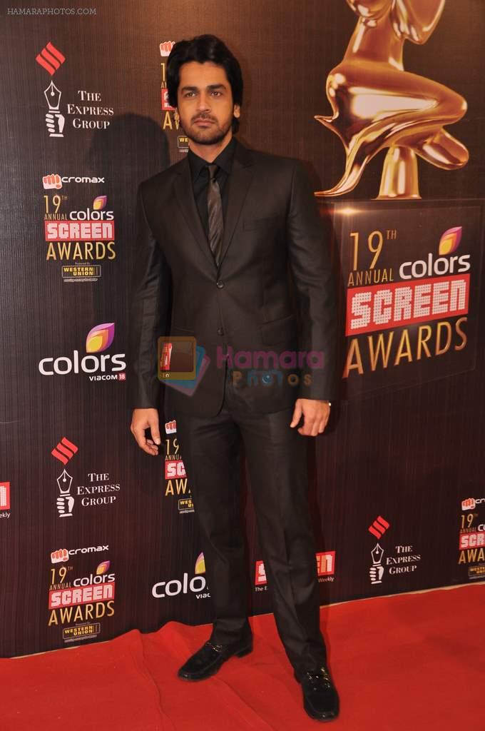 Arjan Bajwa at Screen Awards red carpet in Mumbai on 12th Jan 2013