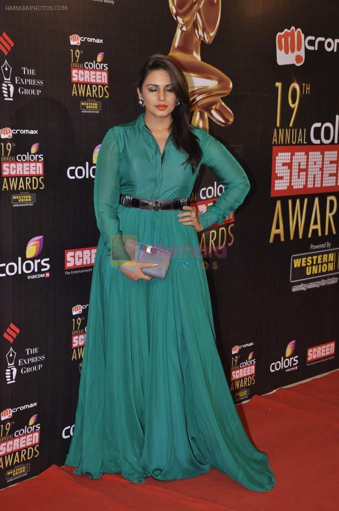 Huma Qureshi at Screen Awards red carpet in Mumbai on 12th Jan 2013