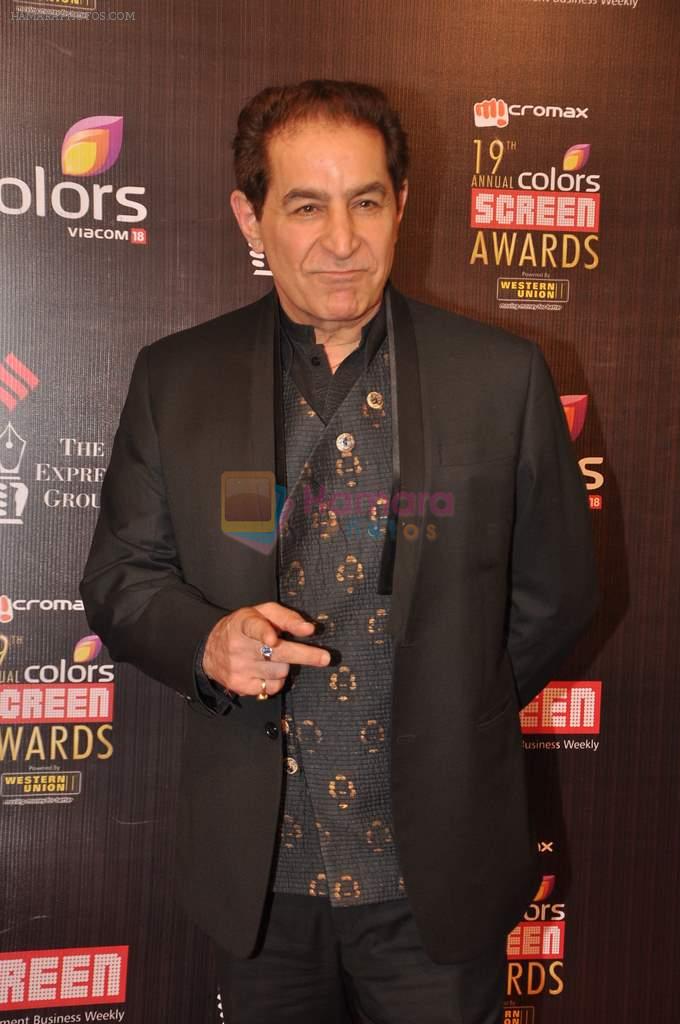 Dalip Tahil at Screen Awards red carpet in Mumbai on 12th Jan 2013