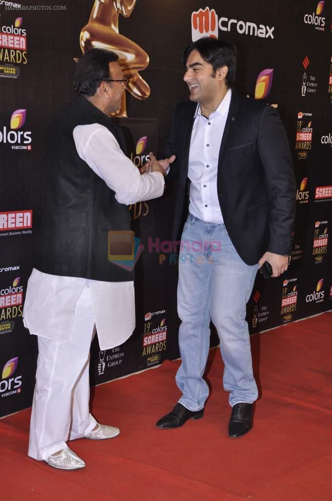 Arbaaz Khan at Screen Awards red carpet in Mumbai on 12th Jan 2013