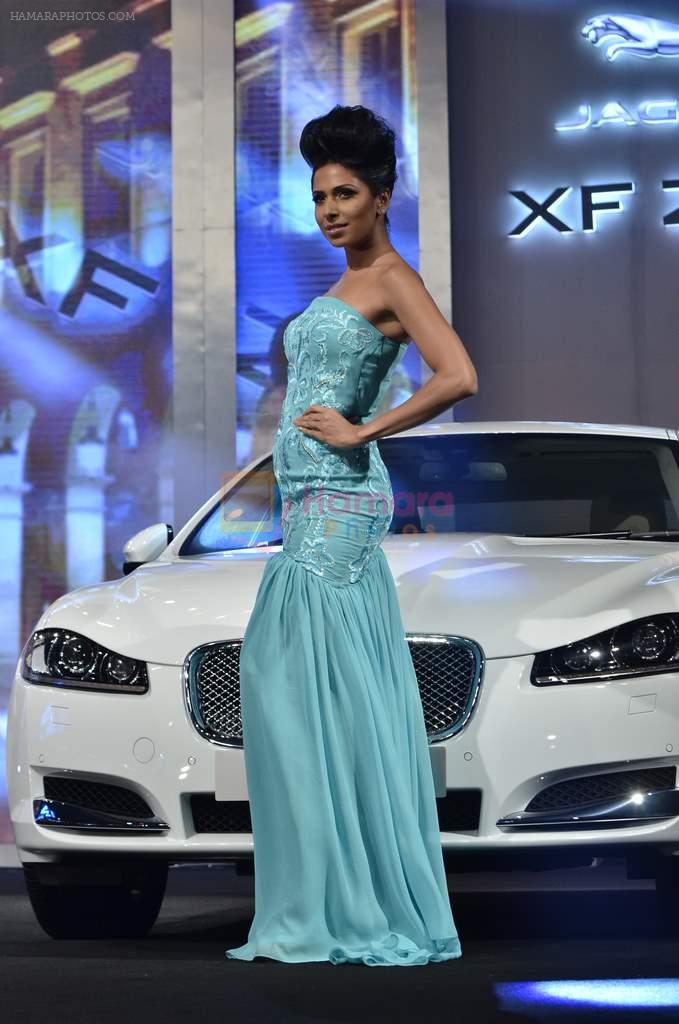 Candice Pinto at Narendra Kumar Jaguar car launch in Mumbai on 8th Feb 2013