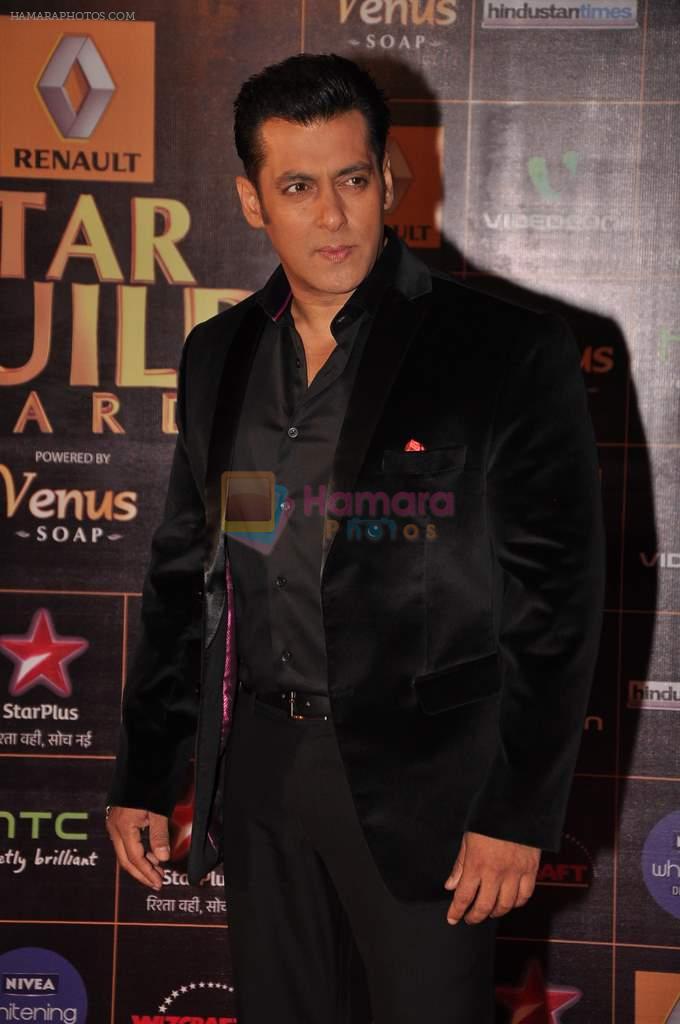 Salman Khan at Star Guild Awards red carpet in Mumbai on 16th Feb 2013