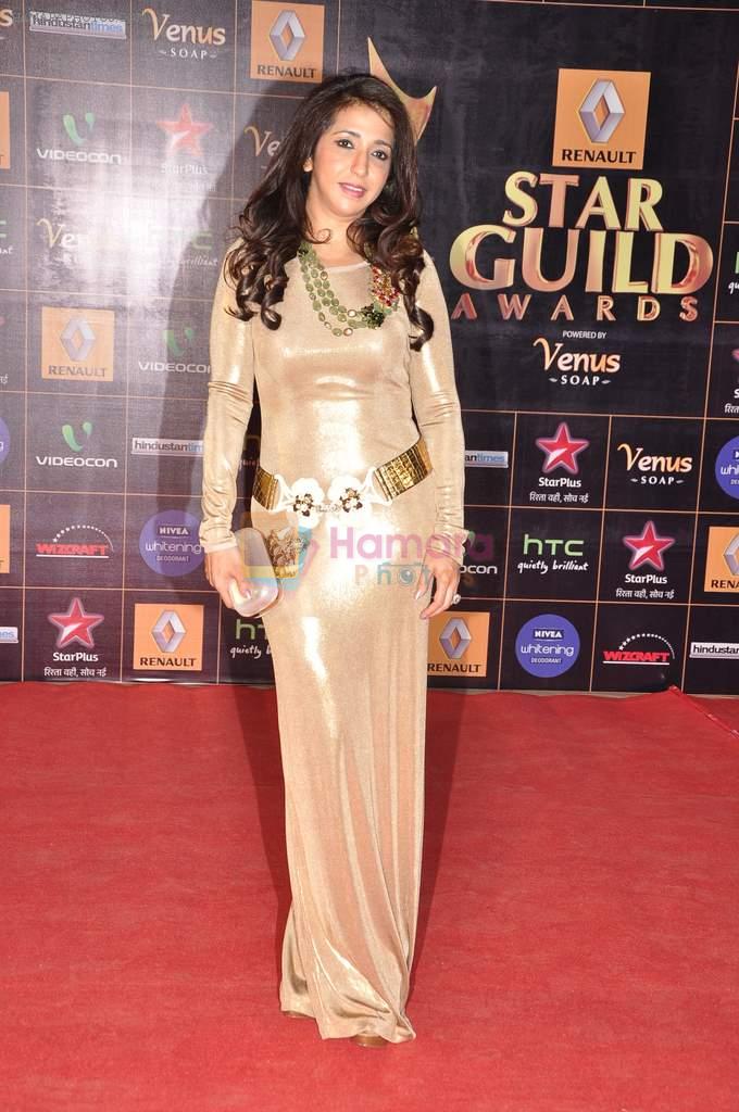 Krishika Lulla at Star Guild Awards red carpet in Mumbai on 16th Feb 2013