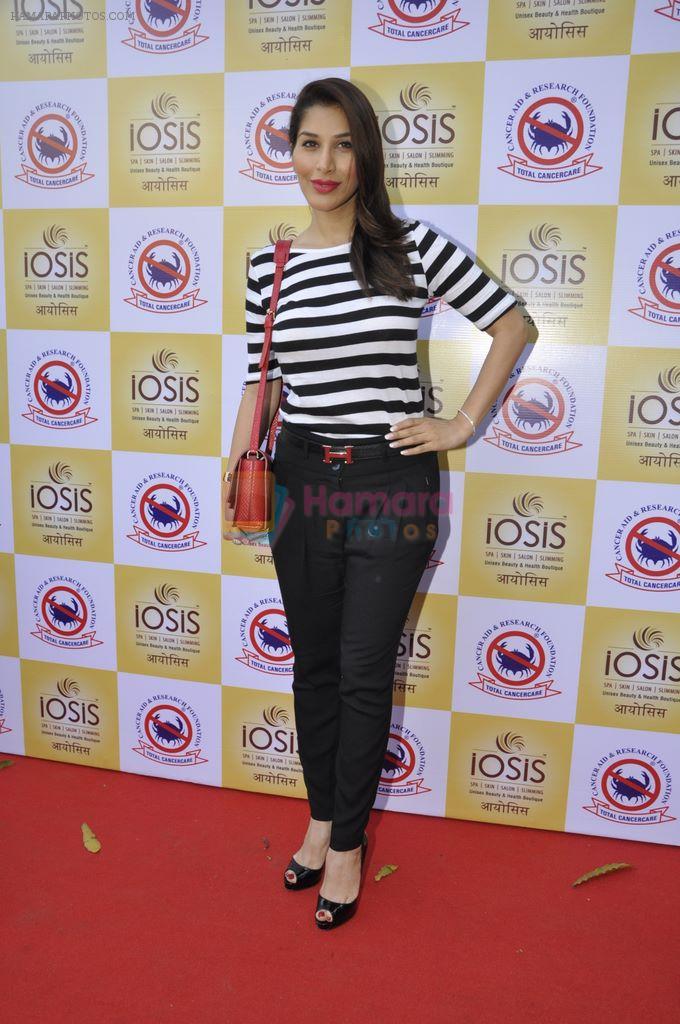 Sophie Chaudhary at Cancer Aid and Research Foundation Event in IOSIS Spa, Khar on 22nd Feb 2013