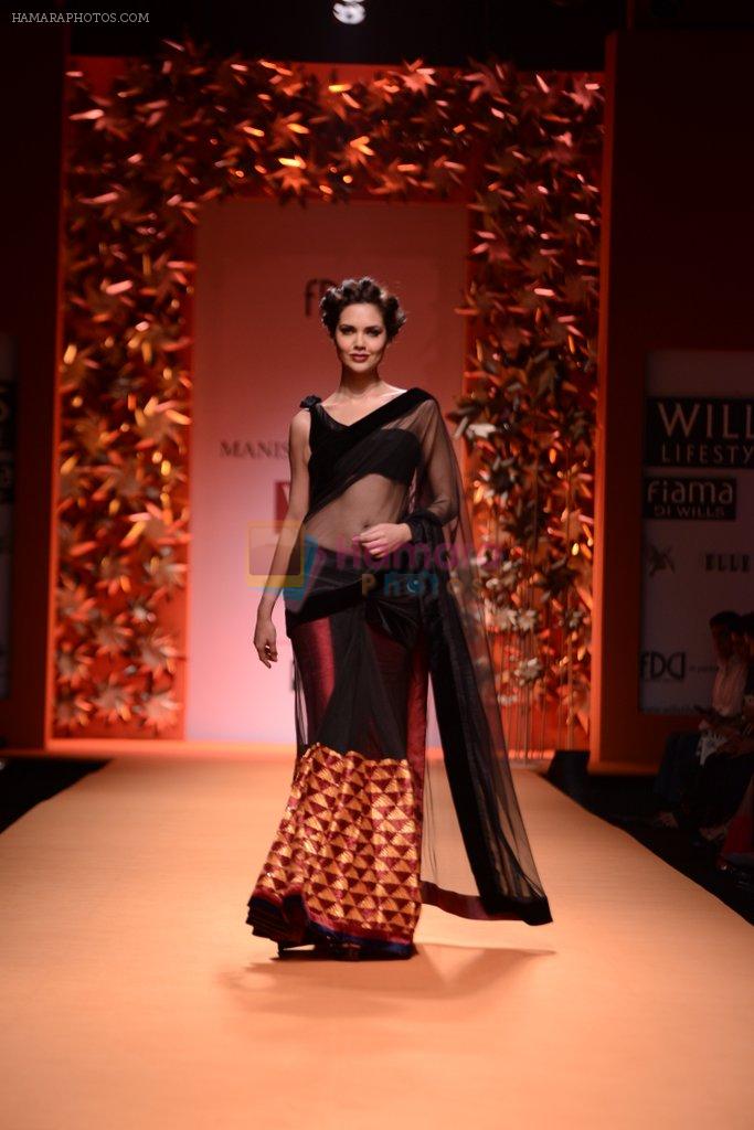 Esha Gupta walks the ramp for Manish Malhotra Show at Wills Lifestyle India Fashion Week 2013 Day 3 in Mumbai on 15th March 2013