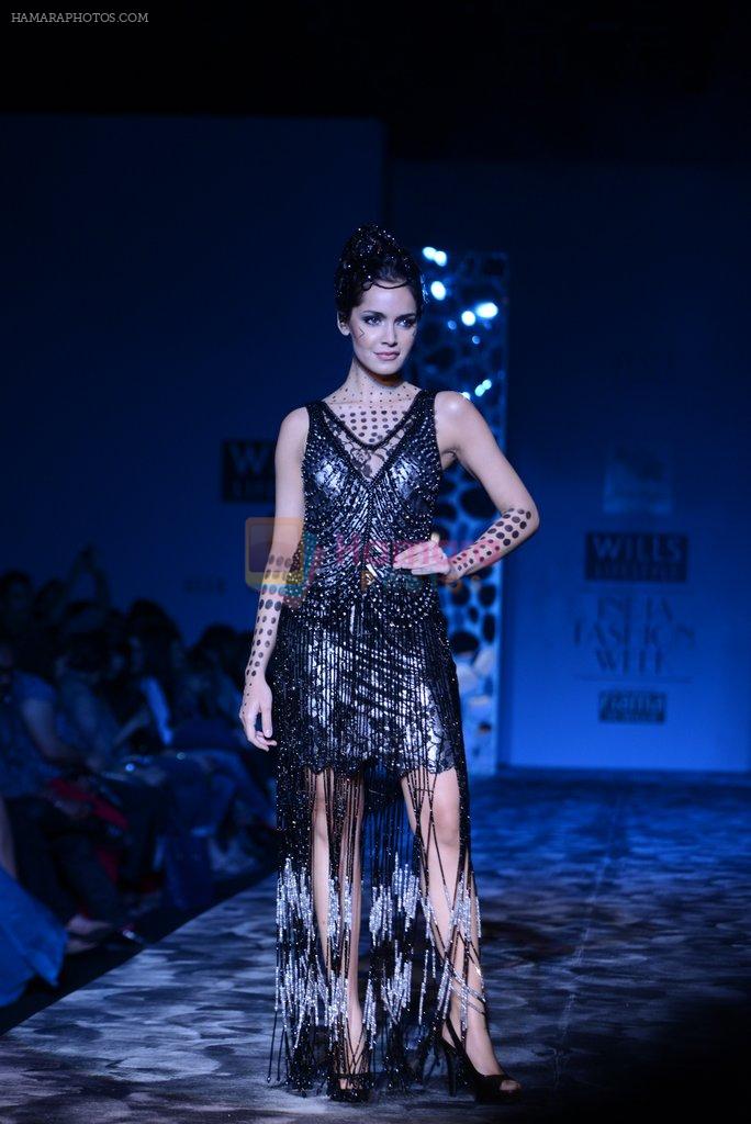 Shazahn Padamsee  walks the ramp for Paras and Shalini Show at Wills Lifestyle India Fashion Week 2013 Day 4 in Mumbai on 16th March 2013