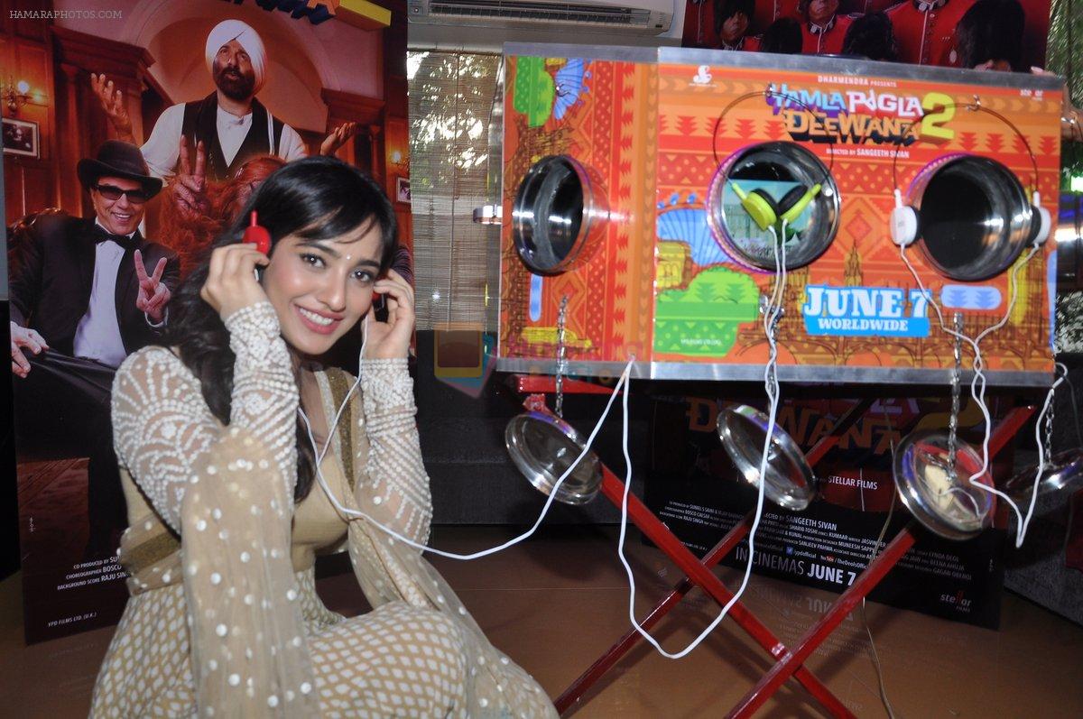Neha Sharma at Yamla Pagla Deewana 2 launch in Sunny Super Sound, Juhu, Mumbai on 28th March 2013