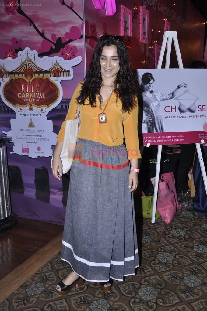 Simone Singh at Elle Carnival in aid of Womens Cancer Initiative a foundation set up by Devieka Bhojwani in Mumbai on 7th April 2013