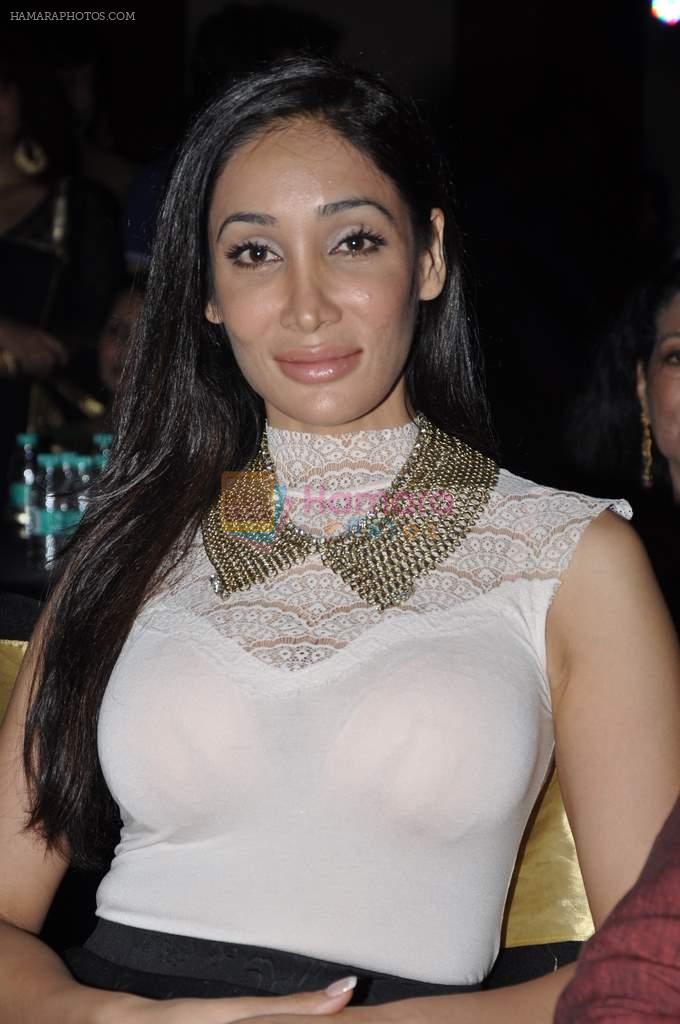 Sofia Hayat at  I don_t love you film music launch in Mumbai on 22nd April 2013