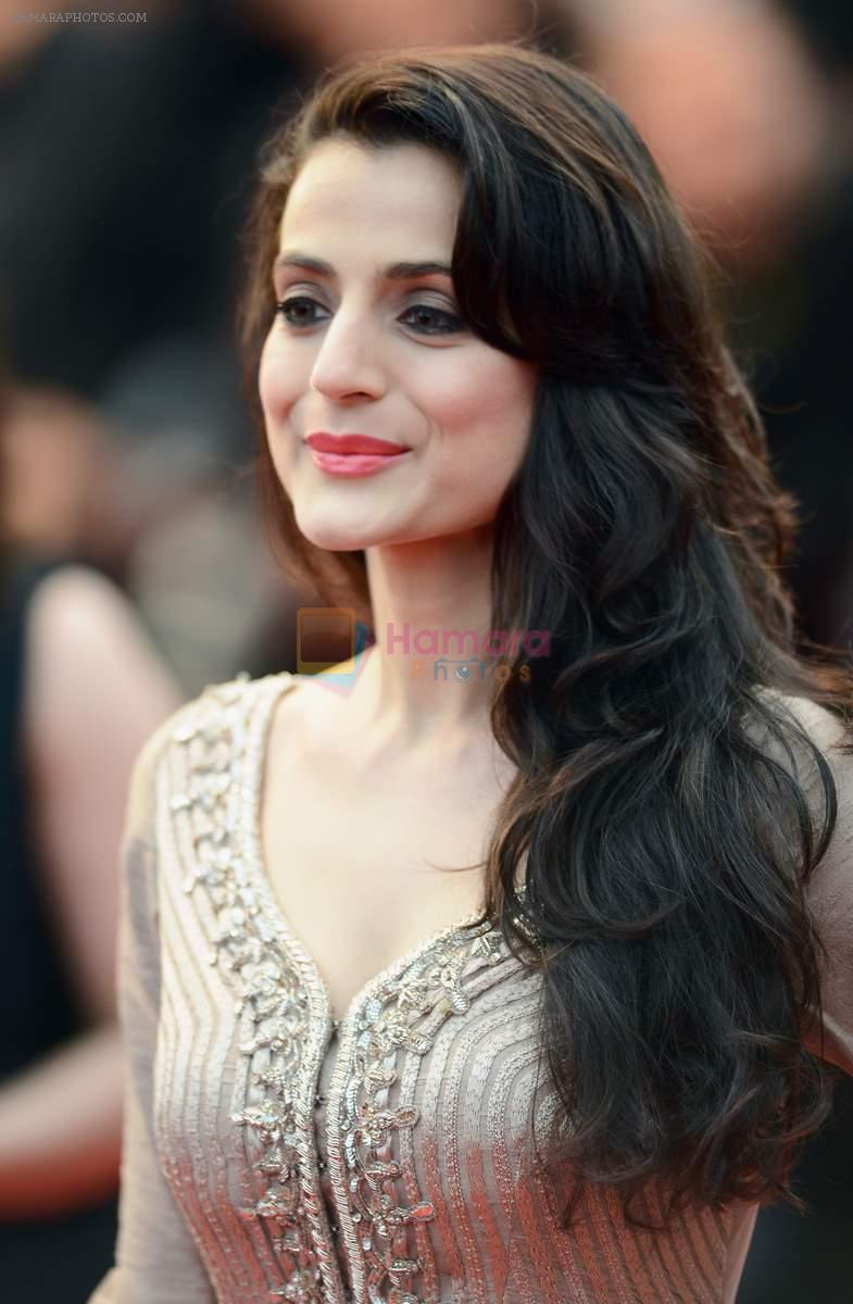 Ameesha Patel at All is Lost premiere at at Cannes Film Festival 2013 on 22nd May 2013