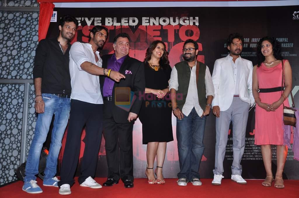 Aakash Dahiya, Arjun Rampal, Rishi Kapoor, Huma Qureshi, Nikhil Advani, Irrfan Khan at D-Day film promo launch in Cinemax, Mumbai on 23rd May 2013