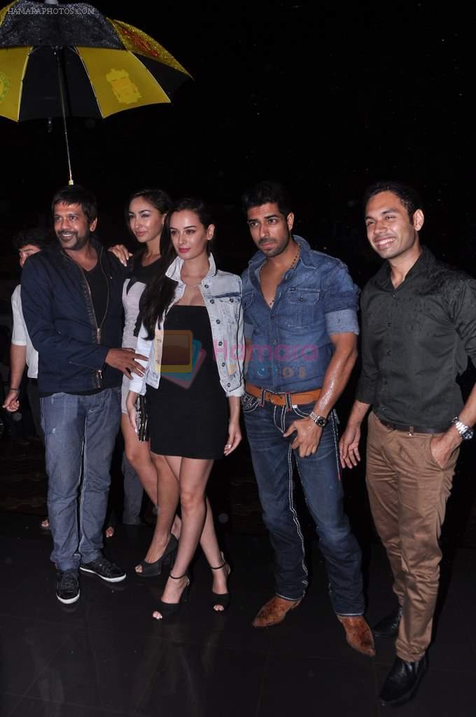 Evelyn Sharma at Ameesha Patel's birthday and Shortcut Romeo promotions in 212 on 8th June 2013
