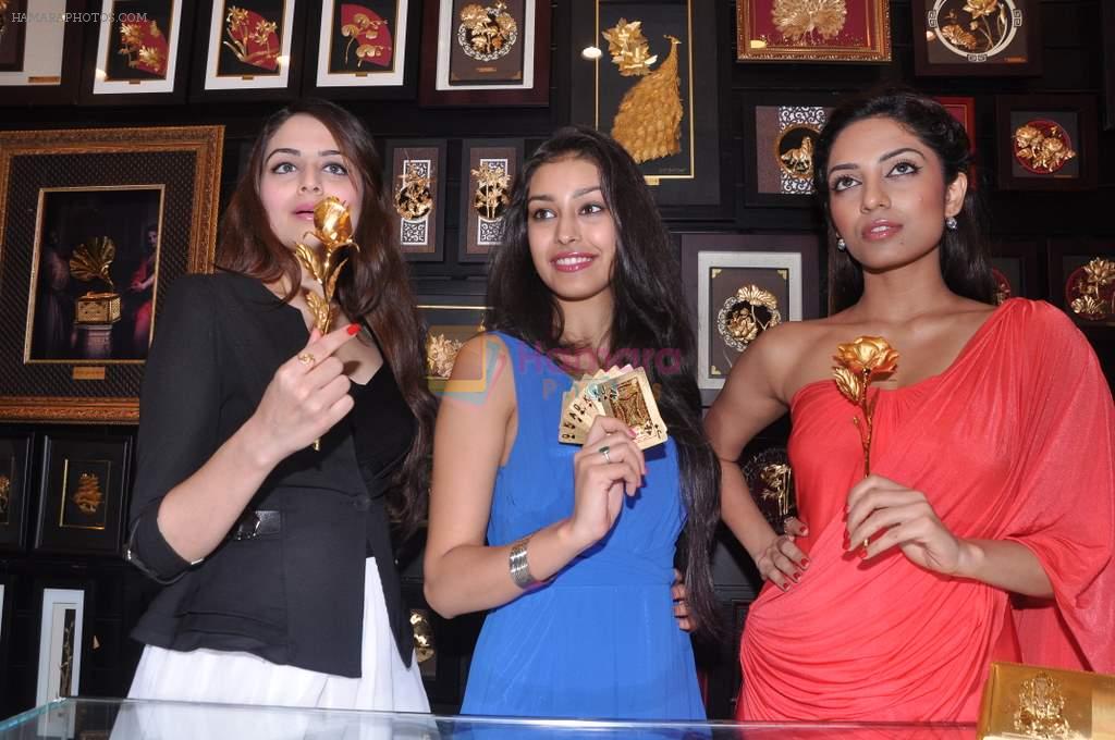 at Pond's Femina Miss India winners launch 24kt Gold Foil Windows in Mumbai on 6th July 2013