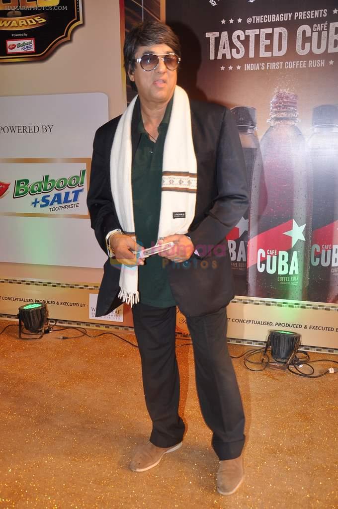 Mukesh Khanna at Gold TV awards red carpet in Mumbai on 20th July 2013