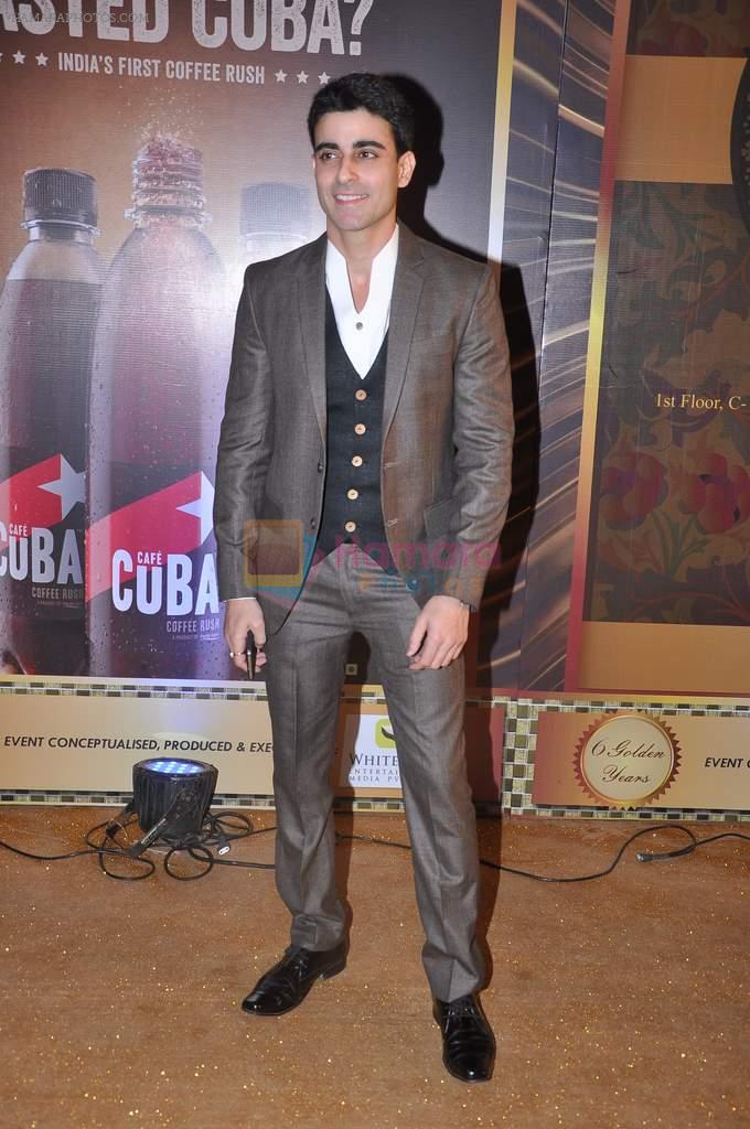at Gold TV awards red carpet in Mumbai on 20th July 2013