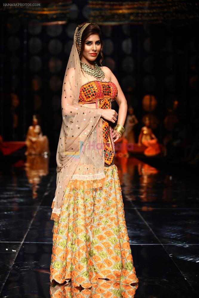 Sophie Chaudhary walk the ramp for Rina Dhaka's bridal show in Delhi on 24th July 2013