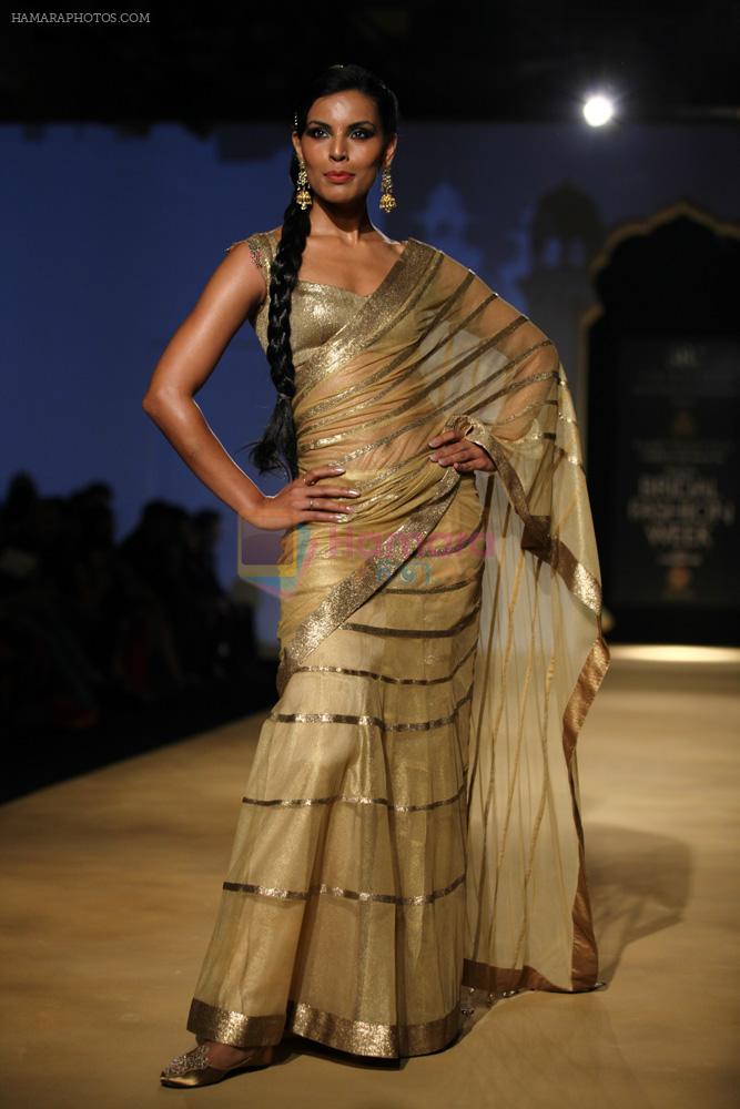 Model walks for designer Ashima Leena in Delhi on 26th July 2013