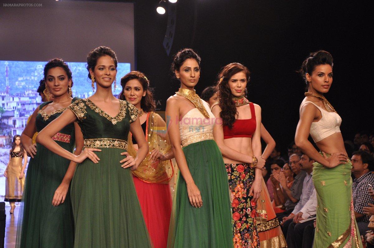 Model walk for Auro Gold show at IIJW 2013 in Mumbai on 4th Aug 2013