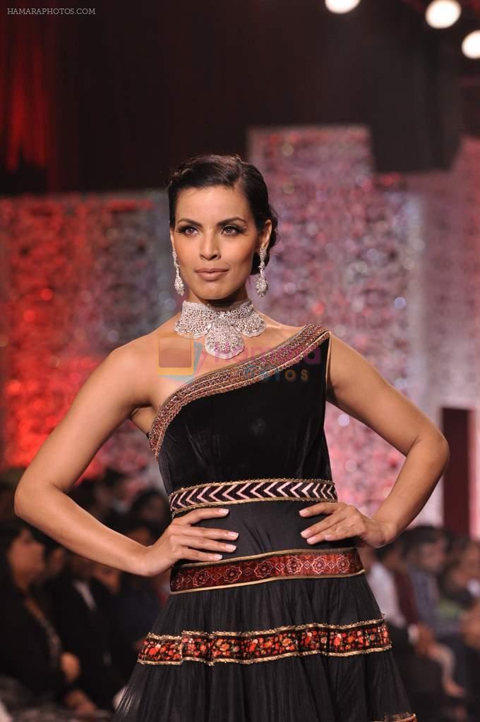 Model walk the ramp at the Grand Finale of IIJW 2013 on 8th Aug 2013