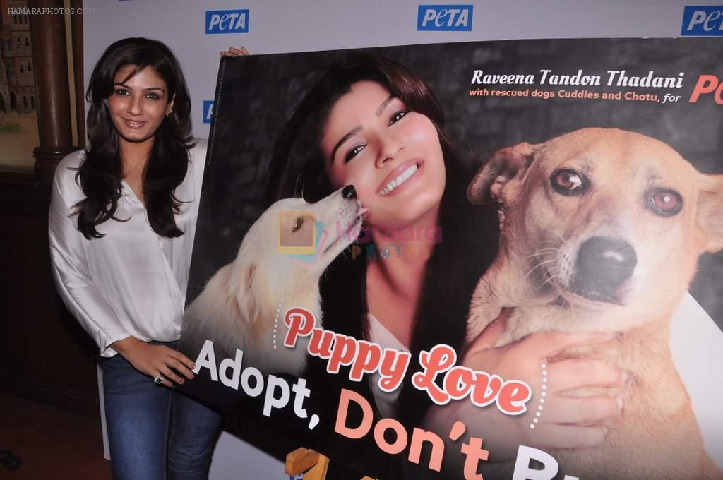 Raveena Tandon Launch New PETA Campaign in Mumbai on 12th Sept 2013