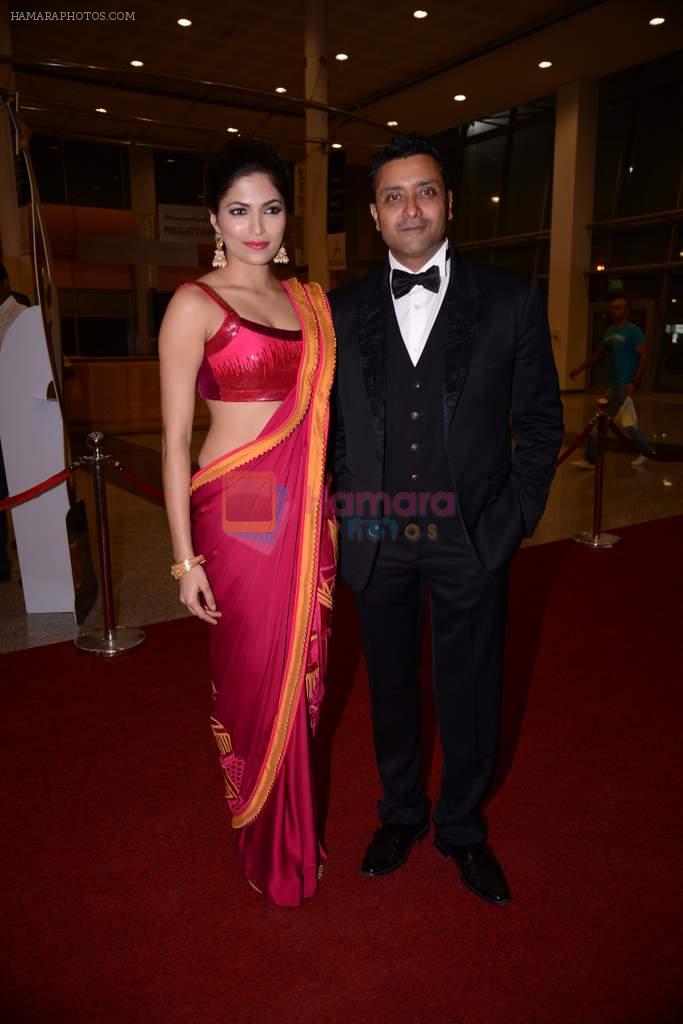 Parvathy Omanakuttan at South Indian International Movie Awards 2013 Red Carpet Day 1 on 12th Sept 2013
