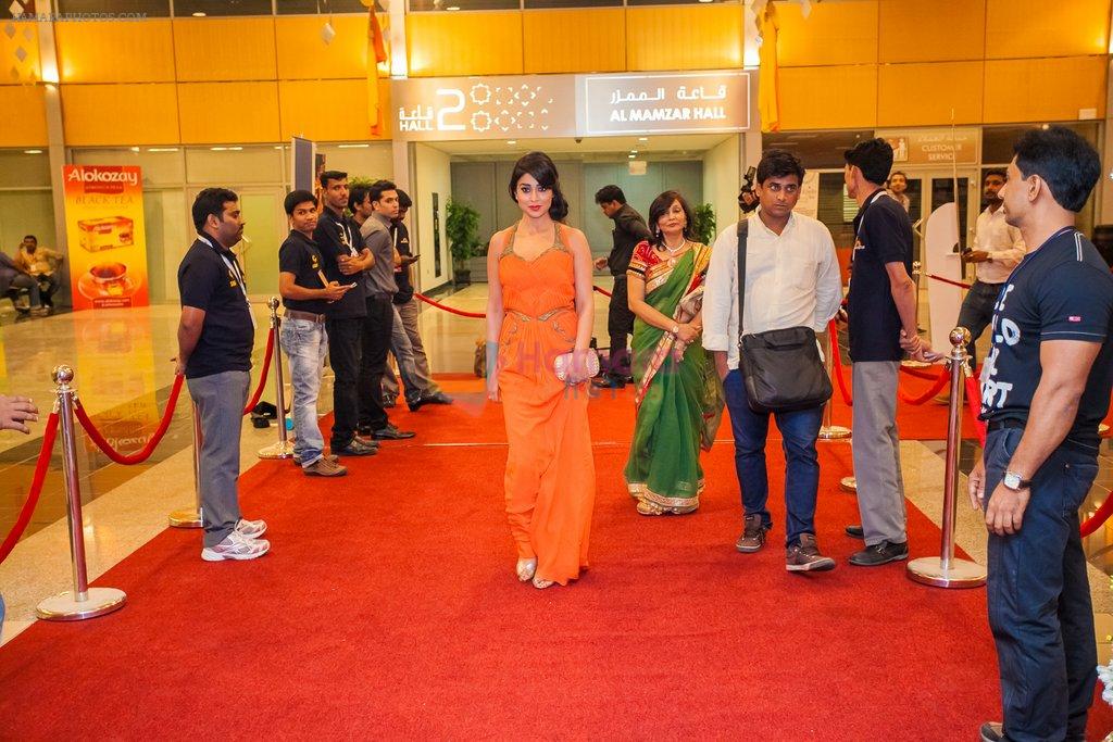 Shriya Saran at South Indian International Movie Awards 2013 Next Gen and Music Awards day 1 on 12th Sept 2013