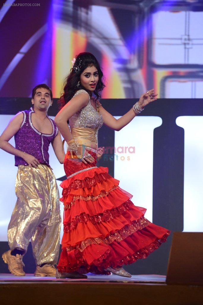 Shriya Saran at South Indian International Movie Awards 2013 Red Carpet Day 2 on 12th Sept 2013