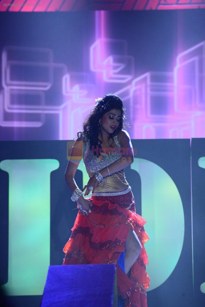 Shriya Saran at South Indian International Movie Awards 2013 Red Carpet Day 2 on 12th Sept 2013