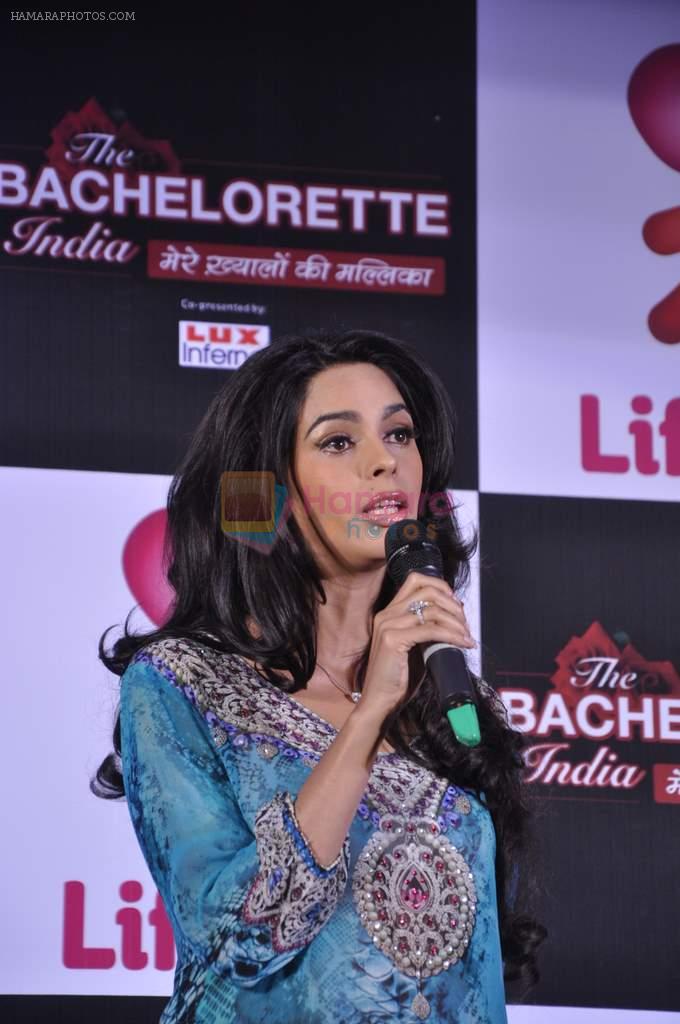 Mallika Sherawat at preview of Life Ok Bachelorette India launch in Trident, Mumbai on 3rd Oct 2013