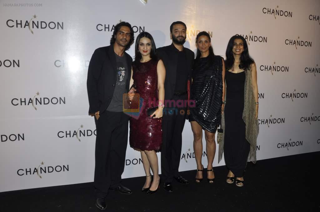 Arjun Rampal, Anu Dewan, Mehr Rampal at Moet Hennesey launch of Chandon wines made now in India in Four Seasons, Mumbai on 19th Oct 2013