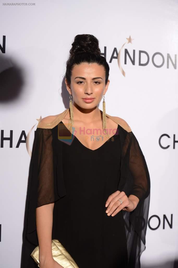Pia Trivedi at Moet Hennesey launch of Chandon wines made now in India in Four Seasons, Mumbai on 19th Oct 2013