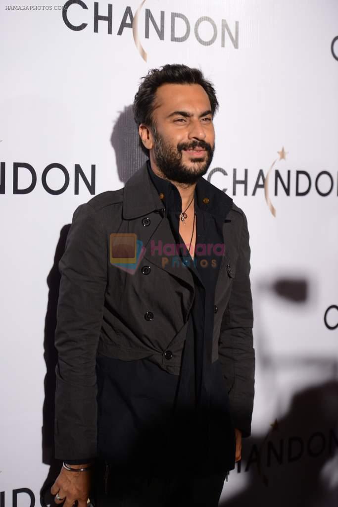 Aki Narula at Moet Hennesey launch of Chandon wines made now in India in Four Seasons, Mumbai on 19th Oct 2013