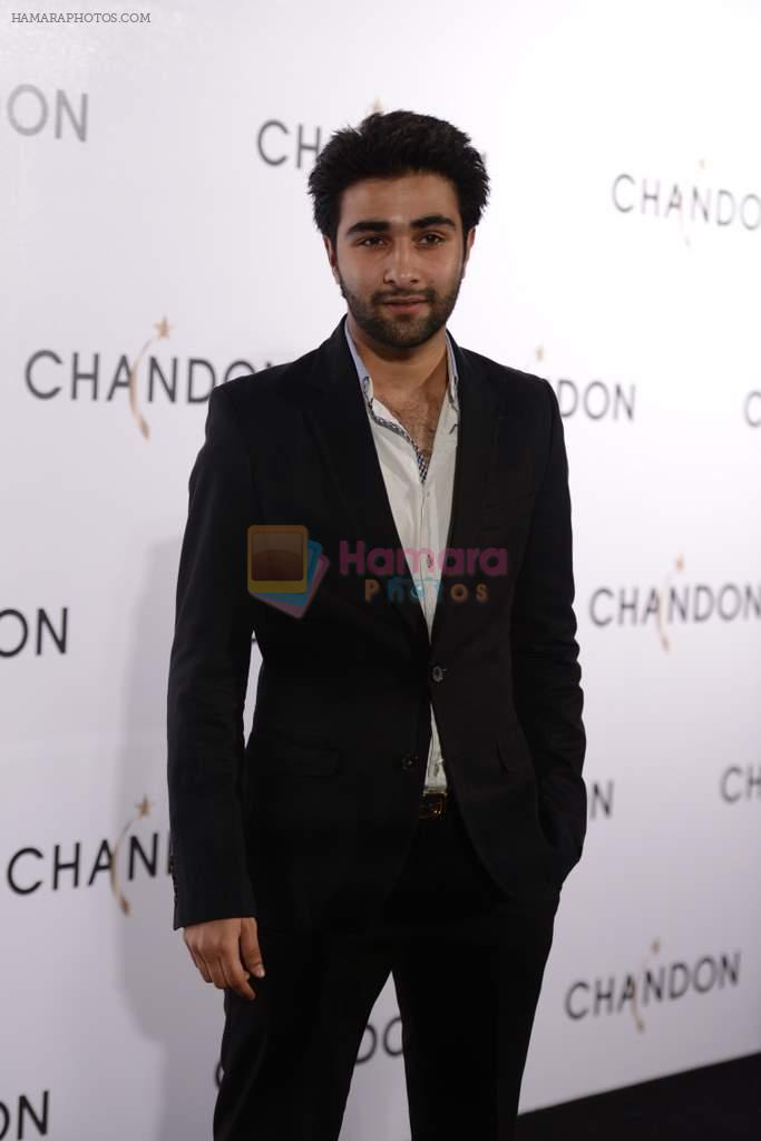 at Moet Hennesey launch of Chandon wines made now in India in Four Seasons, Mumbai on 19th Oct 2013