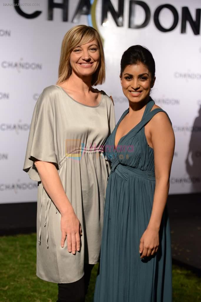 Pallavi Sharda at Moet Hennesey launch of Chandon wines made now in India in Four Seasons, Mumbai on 19th Oct 2013