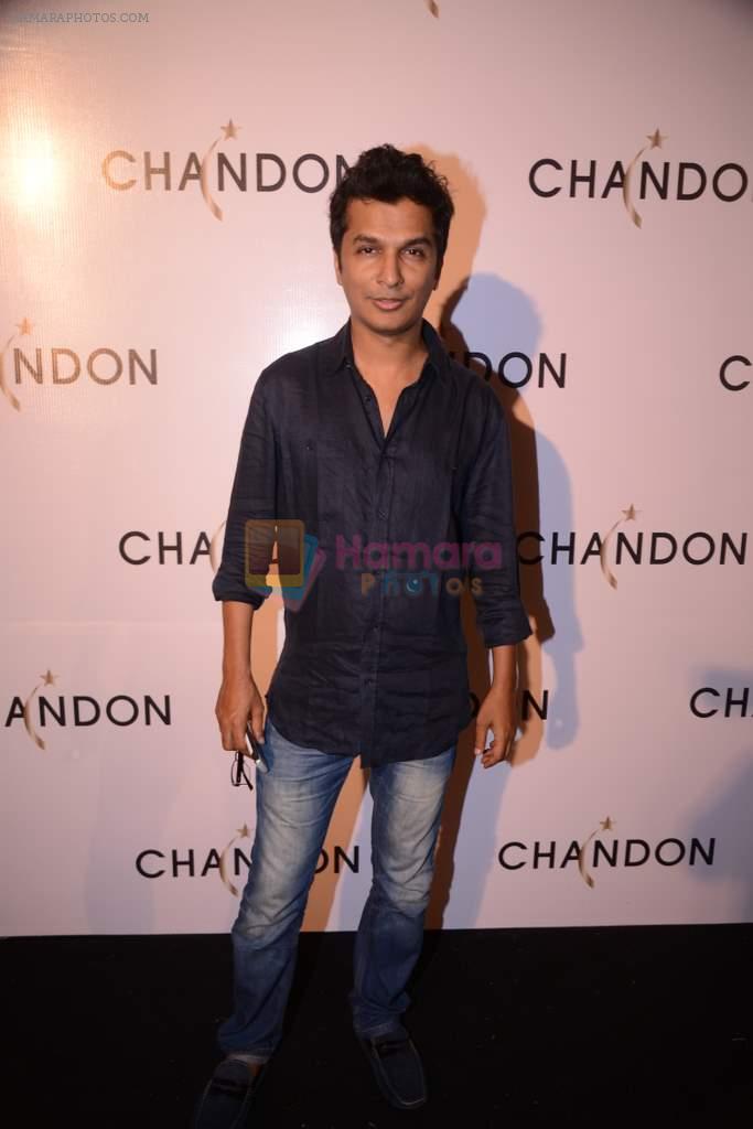 Vikram Phadnis at Moet Hennesey launch of Chandon wines made now in India in Four Seasons, Mumbai on 19th Oct 2013