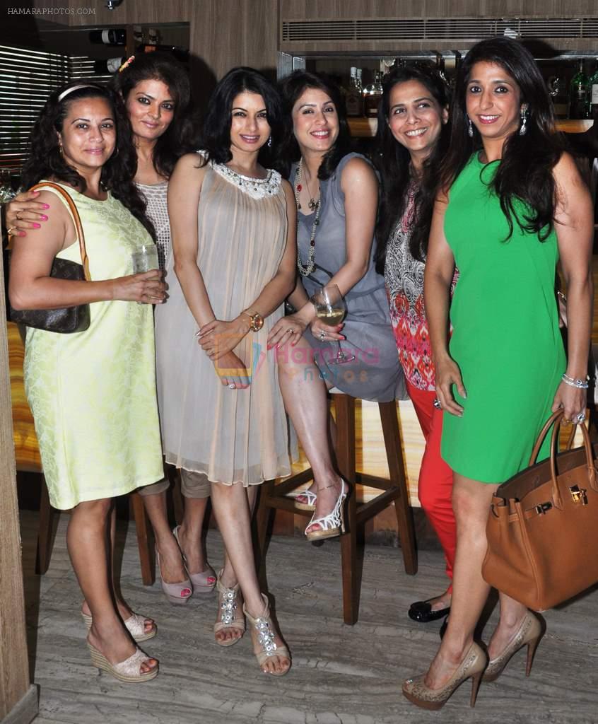 Mansi, Sheeba, Bhagyshrre, Amrita, Roopa & Krishika Lulla at Roopa Vohara's birthday bash in Mumbai on 25th Oct 2013