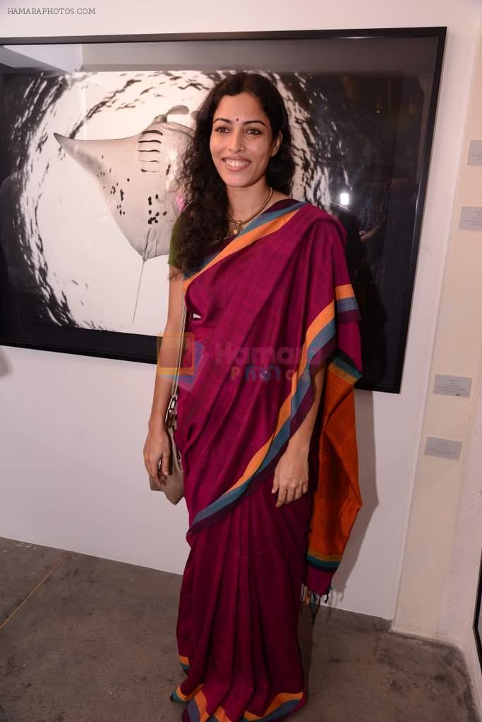 sheetal menon at Gallery 7 for Sumer Verma exhibition in Mumbai on 26th Oct 2013