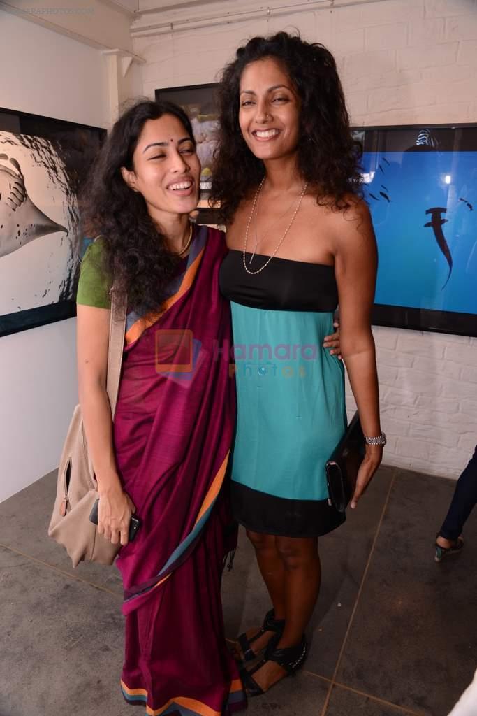Sheetal Menon at Gallery 7 for Sumer Verma exhibition in Mumbai on 26th Oct 2013