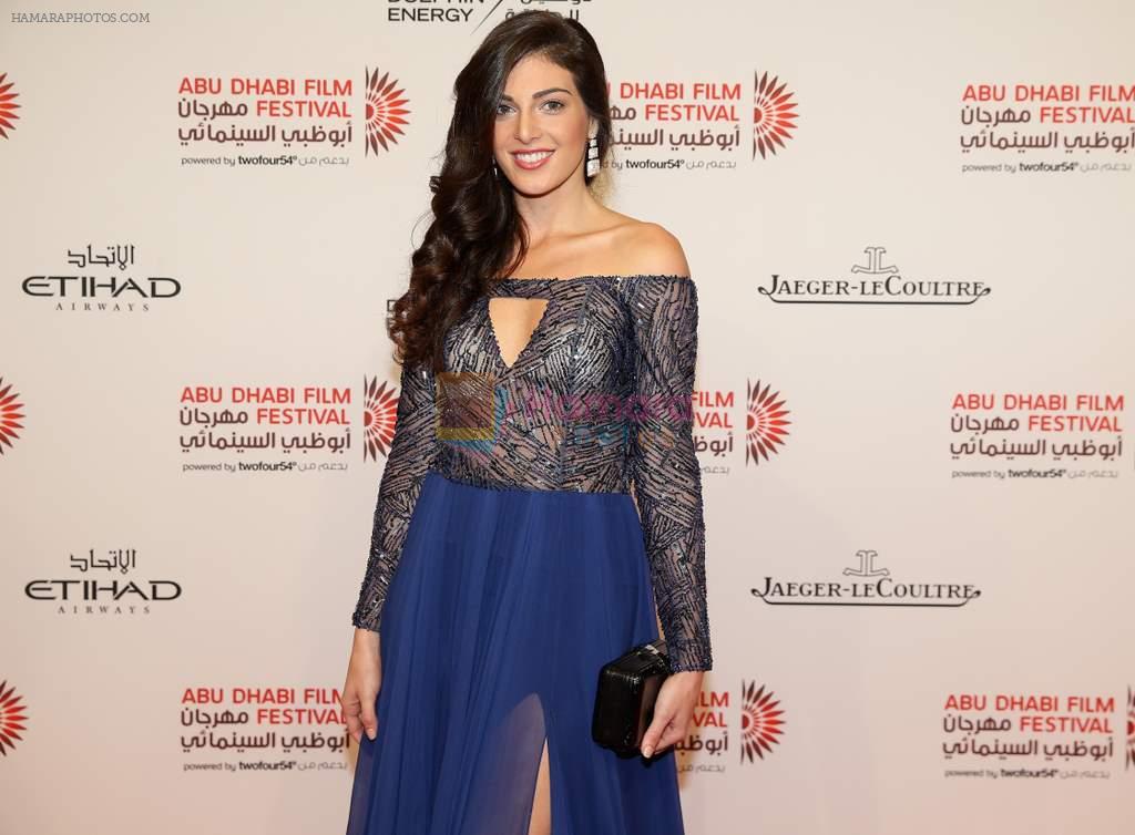 at Abu Dhabi Film Festival on 27th oct 2013