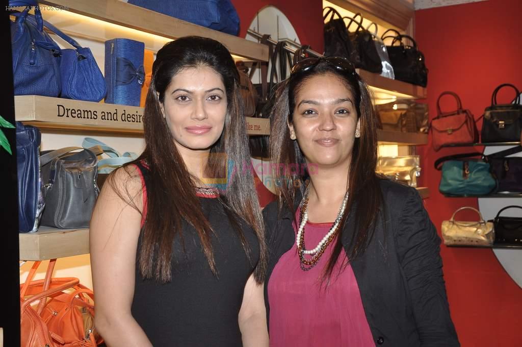 Payal Rohatgi at the launch of Tangerine Home Couture in Mumbai on 30th Nov 2013
