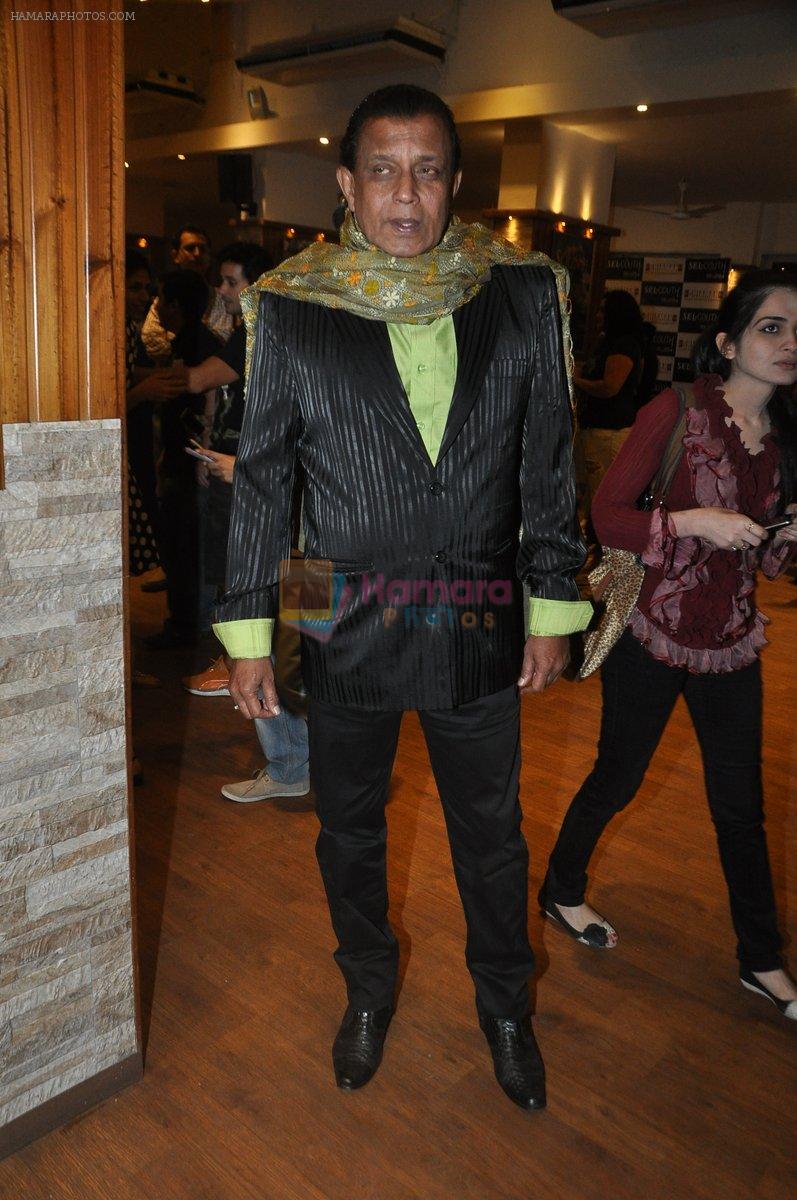 Mithun Chakraborty at Shiamak's Selcouth concert in Mumbai on 12th Dec 2013
