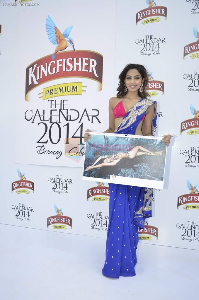 at Kingfisher 2013 calendar launch in Alibaug, Mumbai on 21st Dec 2013