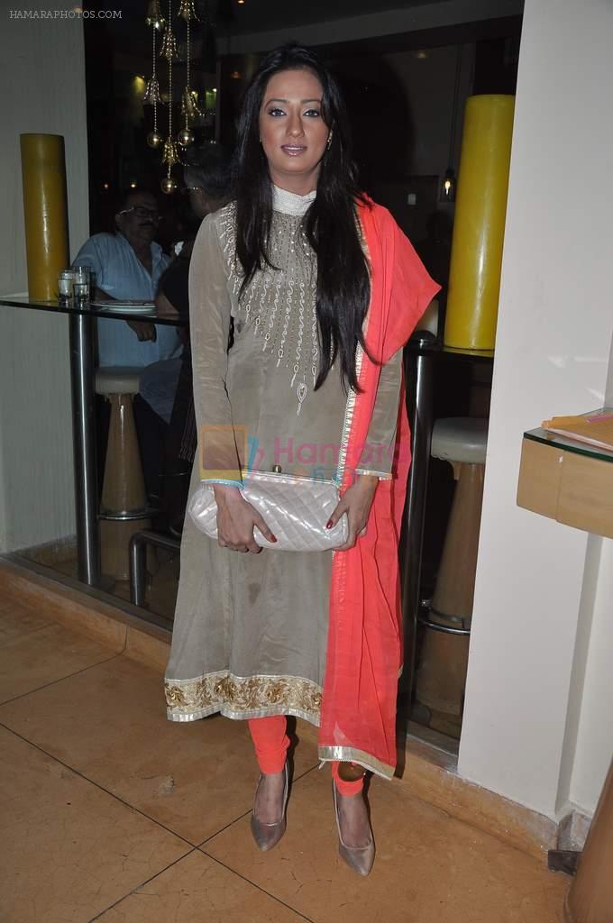 Brinda Parekh at Krishna Hegde's brunch in Mumbai on 29th Dec 2013